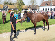 NH220326-33 - Thewoodcorner